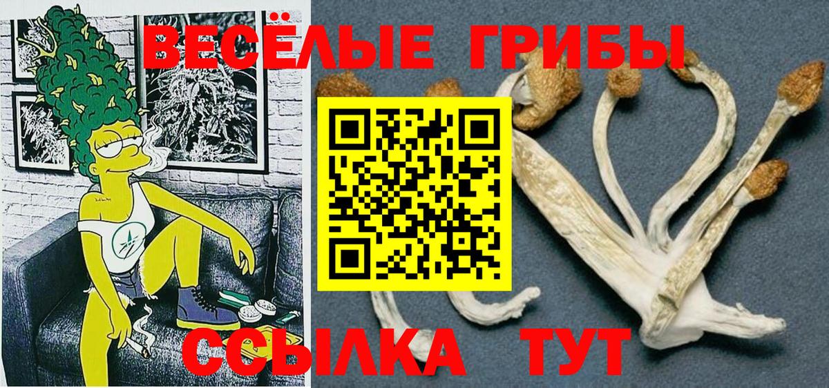 Белогорск  Псилоцибиновые грибы Cubensis  Вход с VPN 